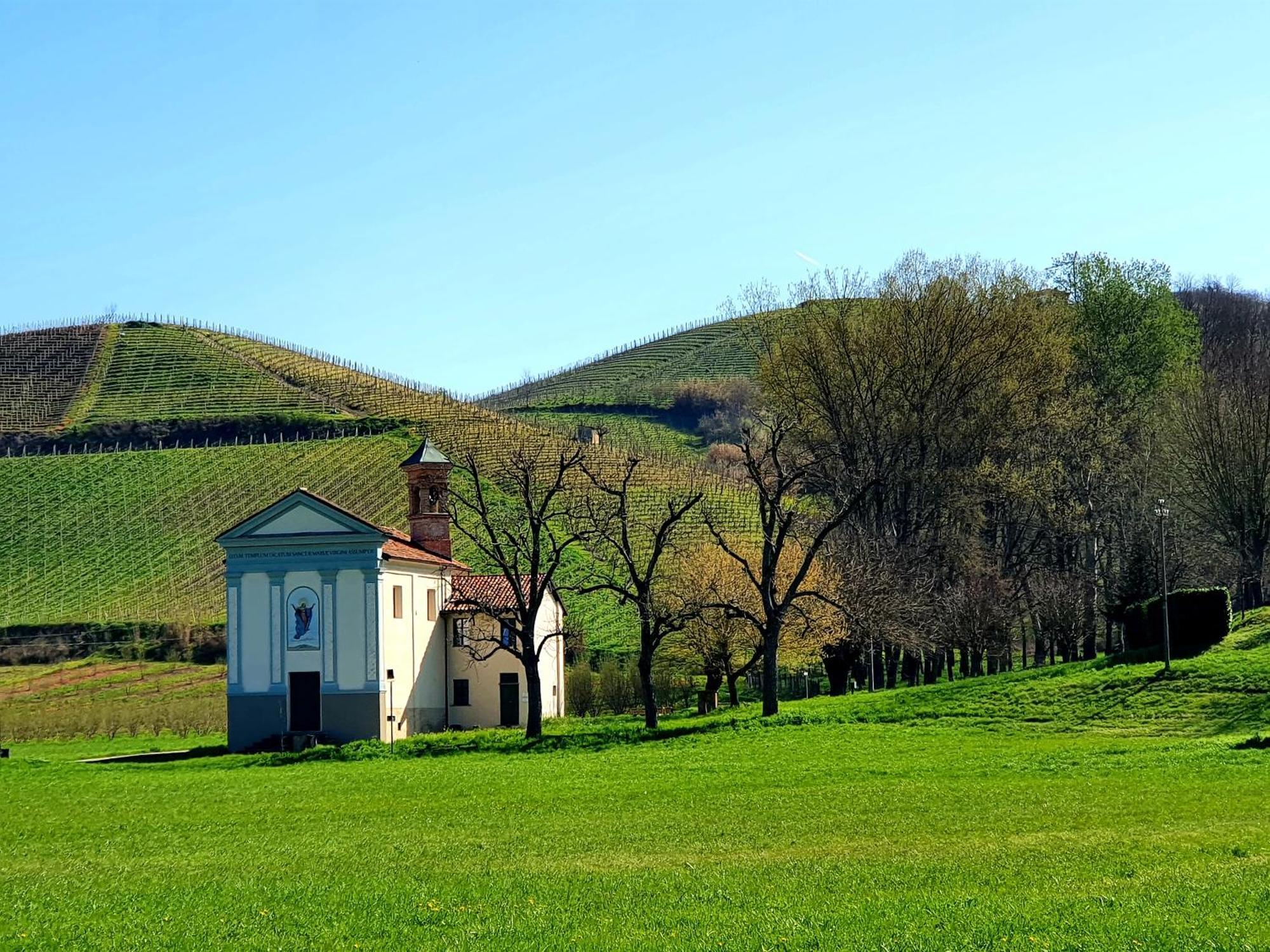 Oasi Del Monferrato - Appartamento Rosso Mombercelli Dış mekan fotoğraf